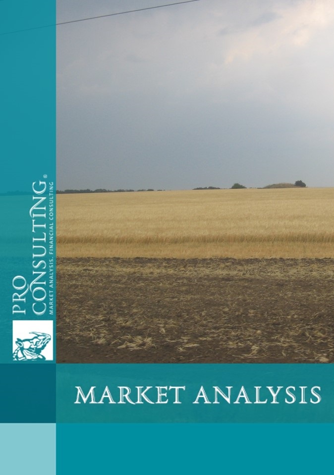 Assessment of the impact of the war on the agricultural markets of Ukraine according to the EMSMA methodology. 2 quarter of 2023 year